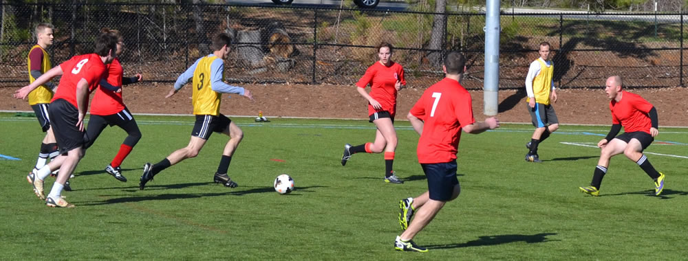 Adult Soccer Pic